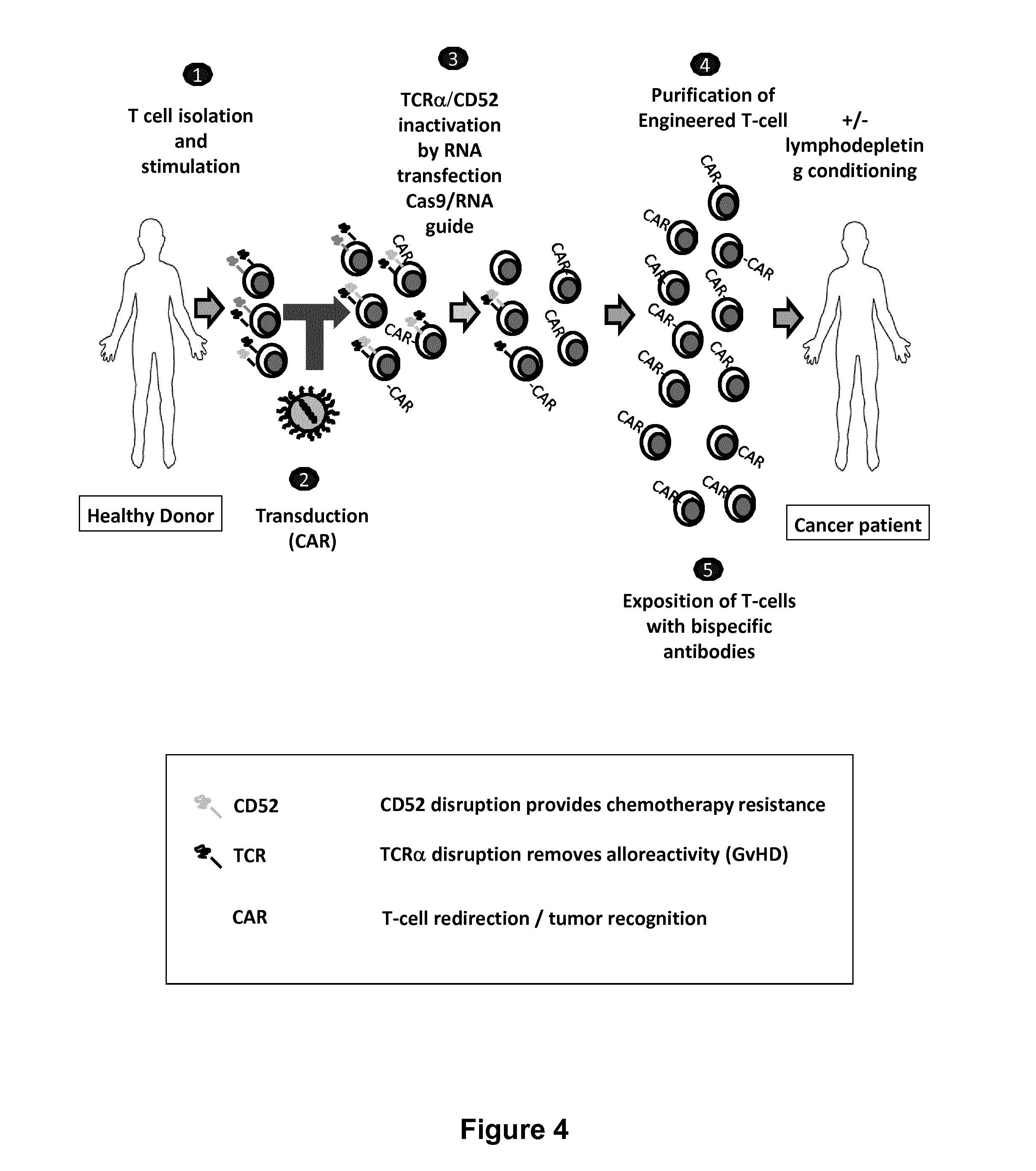 Methods for engineering t cells for immunotherapy by using rna-guided cas nuclease system