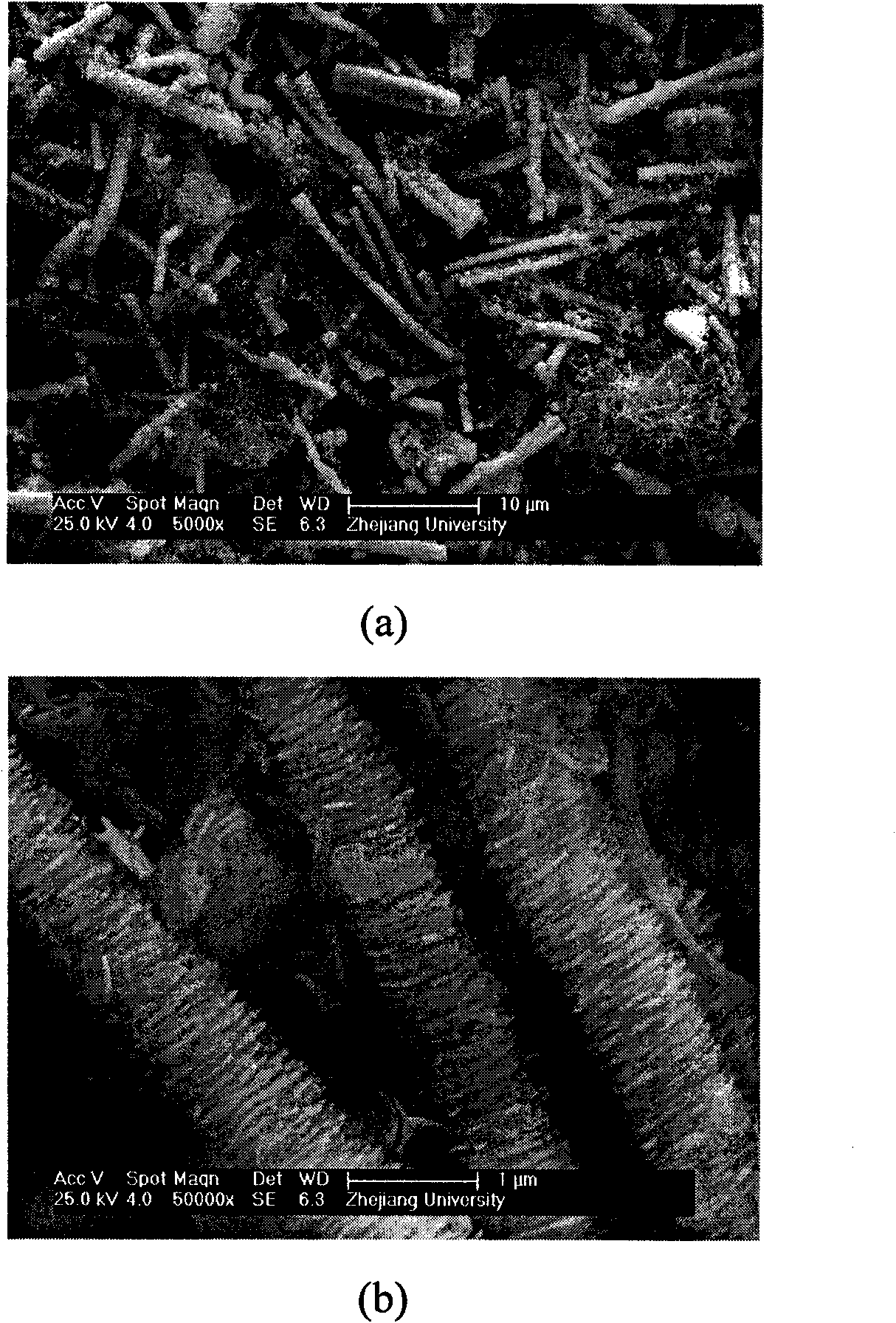 Method for preparing lead titanate nano column automatically assembled by perovskite structure nano pieces