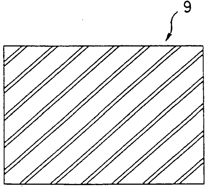 Wet type developing apparatus and wet type developing method