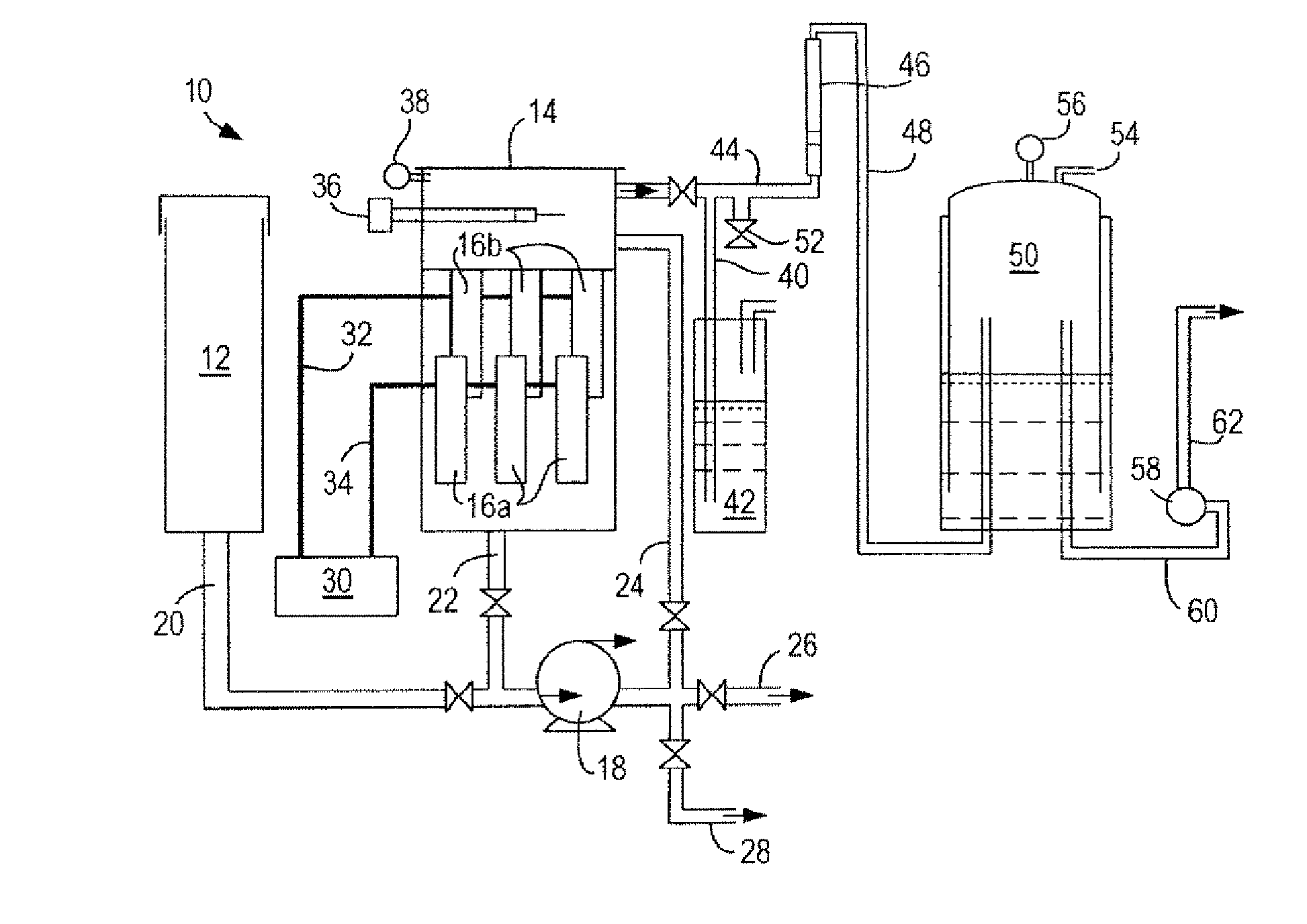 Process and apparatus for producing hydrogen from sewage sludge