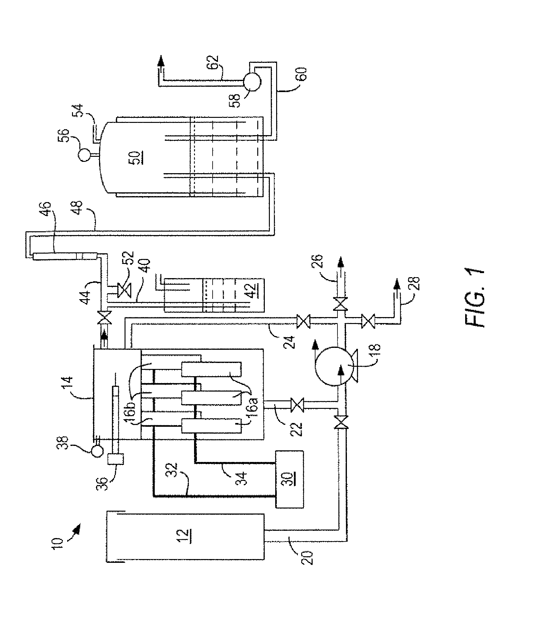 Process and apparatus for producing hydrogen from sewage sludge