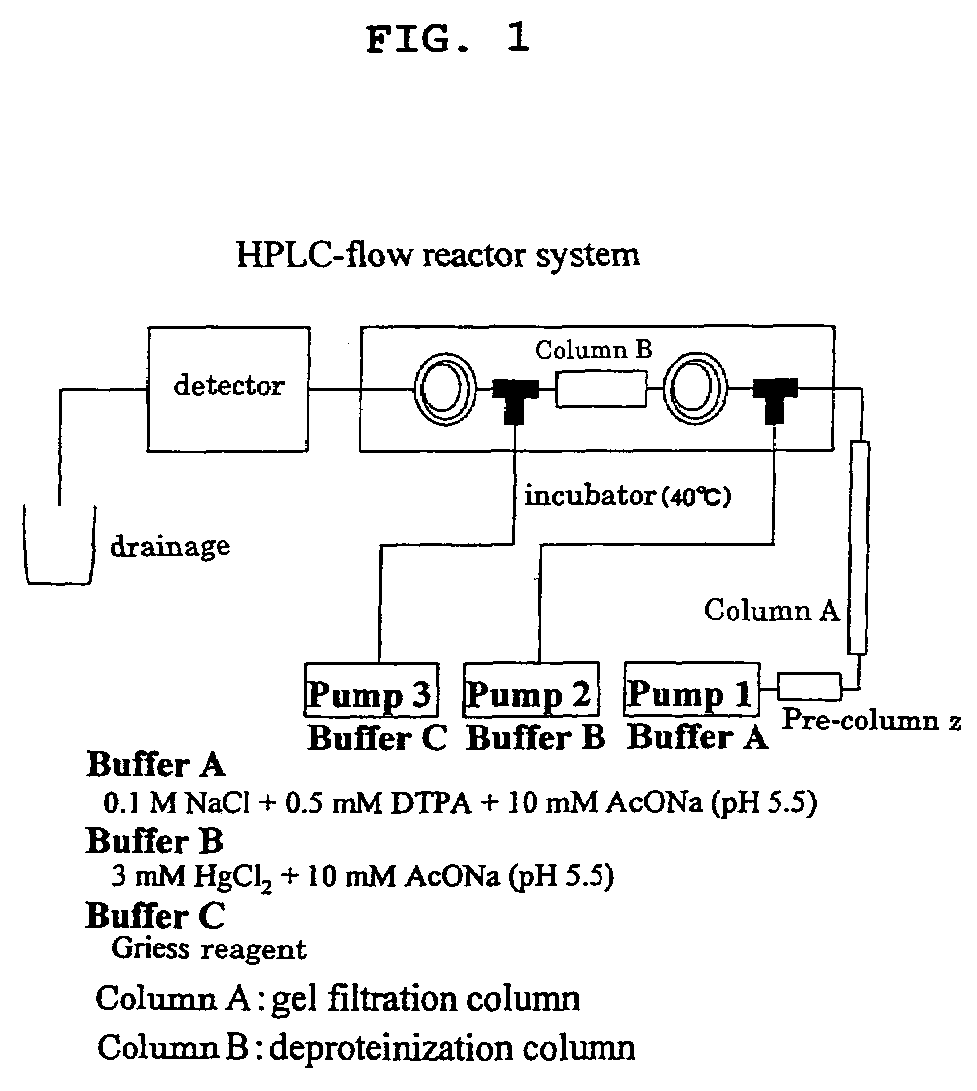 Albumin having enhanced antimicrobial activity