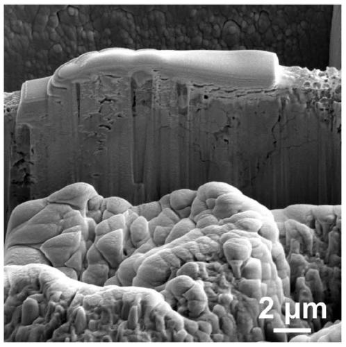 Preparation method of in-situ electrical TEM sample