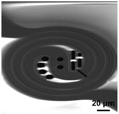 Preparation method of in-situ electrical TEM sample