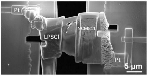 Preparation method of in-situ electrical TEM sample