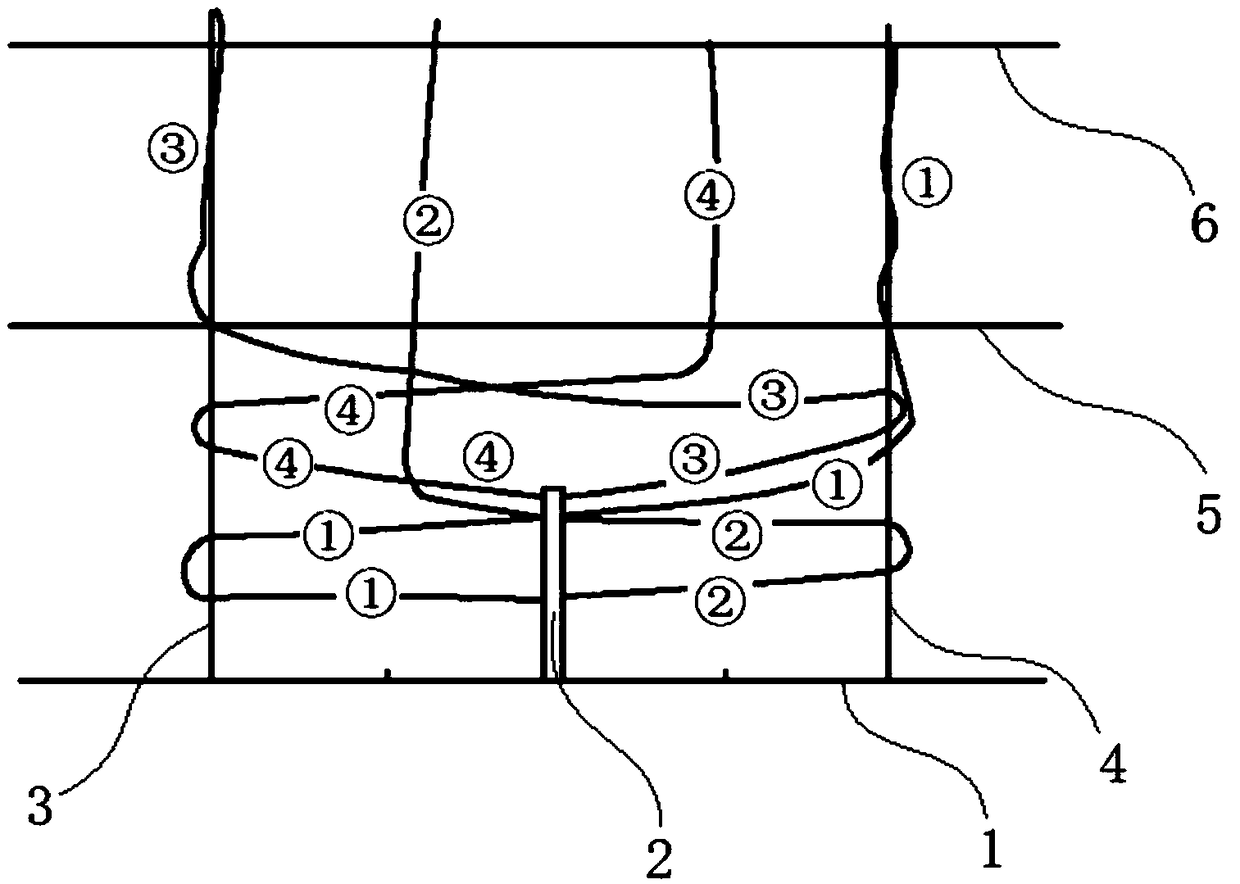 Tree-form cultivation system and method for ficus carica