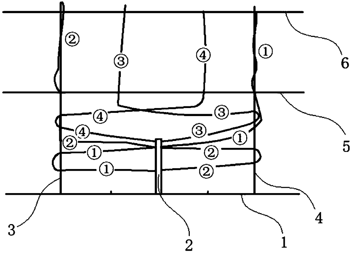 Tree-form cultivation system and method for ficus carica