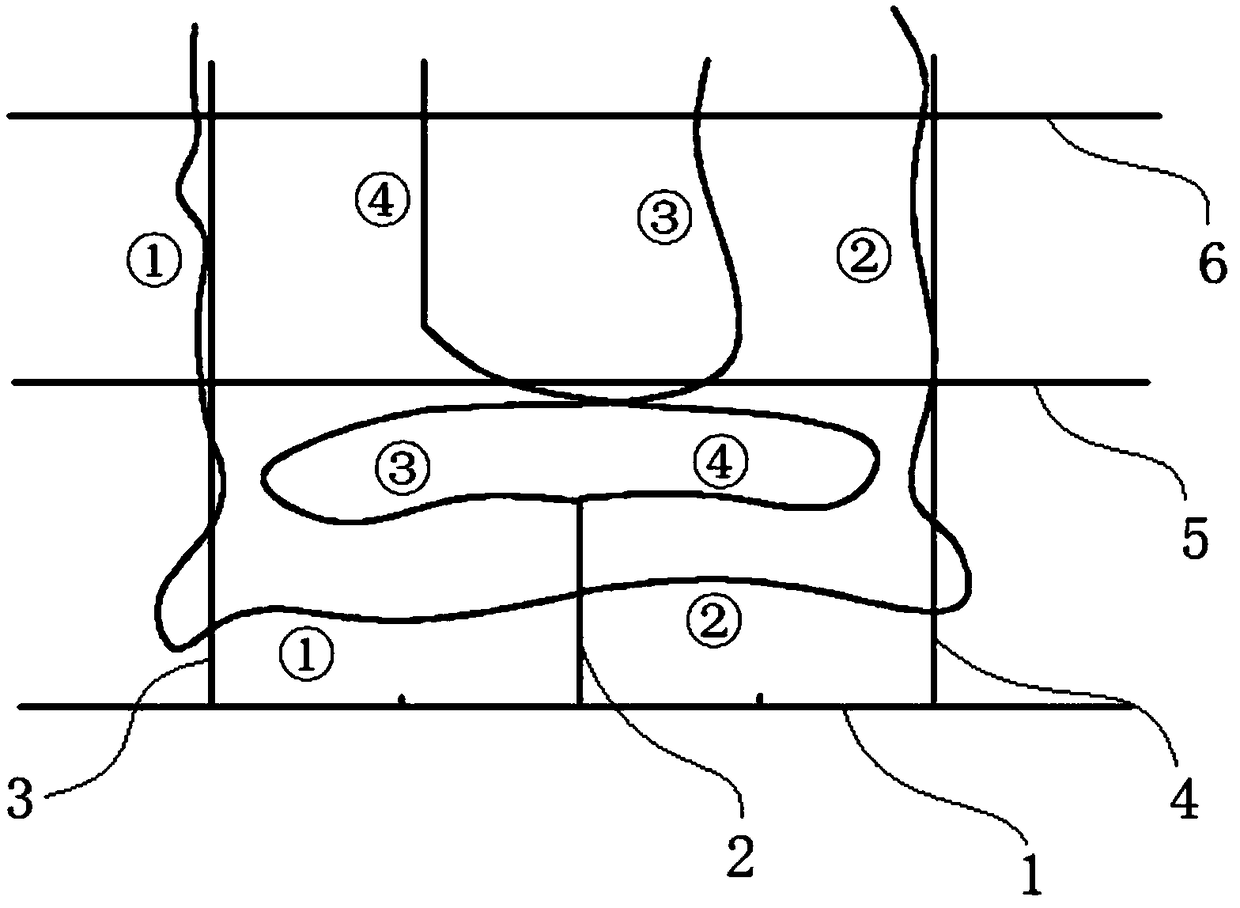 Tree-form cultivation system and method for ficus carica