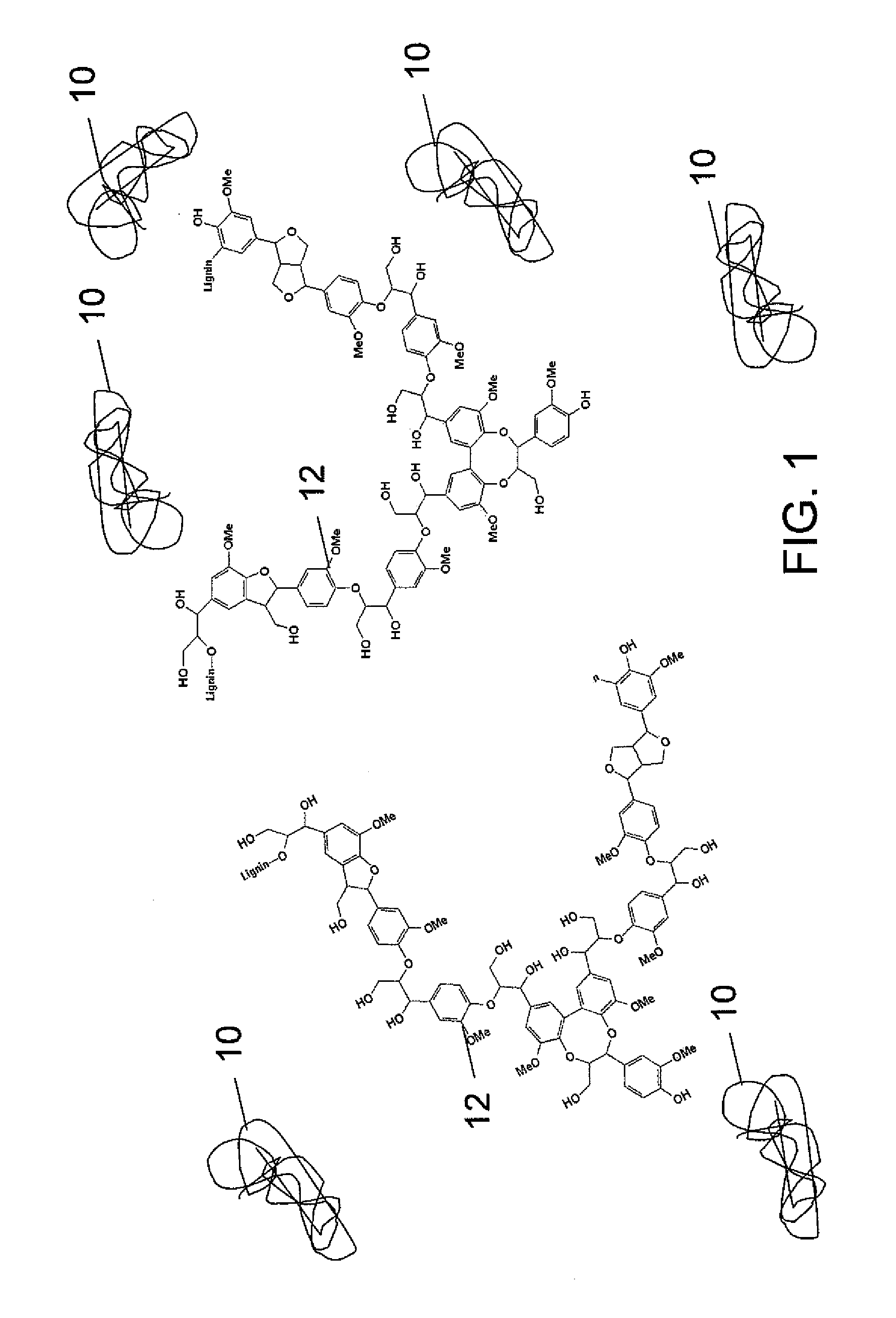 Enzyme recovery sorbent, enzyme recovery unit, lignocellulosic biorefinery, process for recycling enzymes, and renewable material