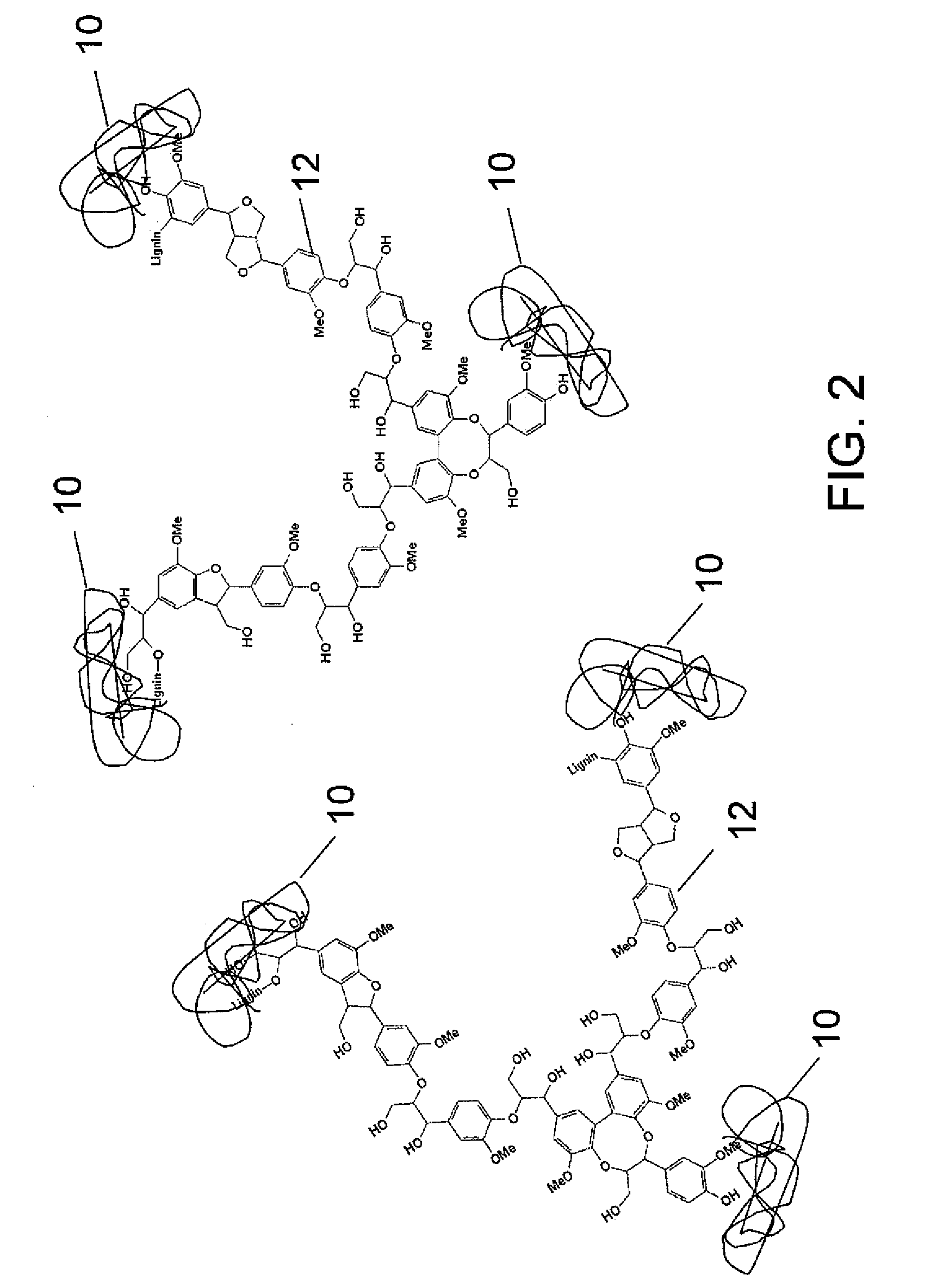 Enzyme recovery sorbent, enzyme recovery unit, lignocellulosic biorefinery, process for recycling enzymes, and renewable material