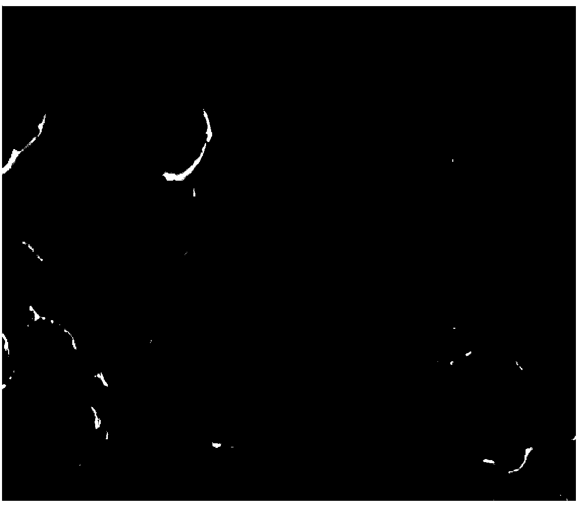 Micro-nano processing method for aluminum/aluminum alloy surface and aluminum/ aluminum alloy structure