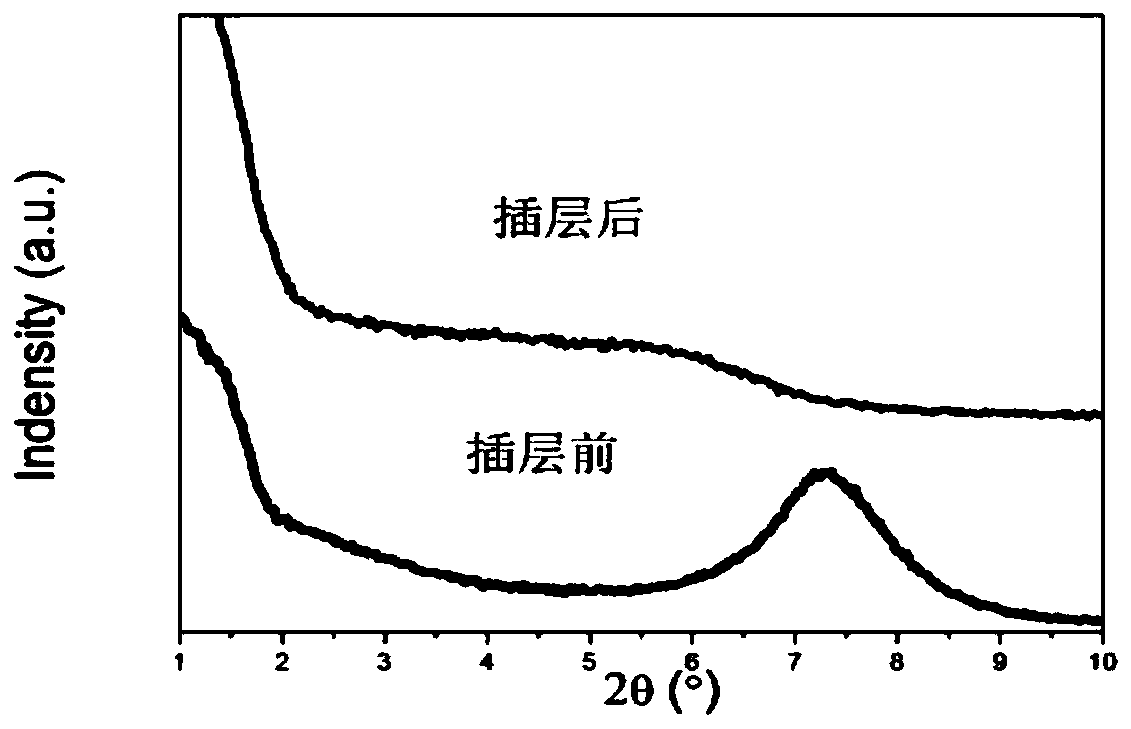 Anion adsorbent and preparation method thereof