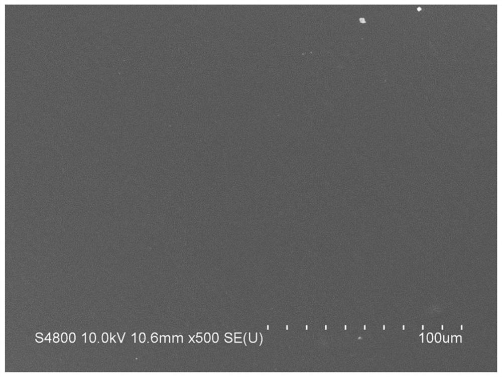 Negative pole piece of zinc secondary battery as well as preparation method and application of negative pole piece