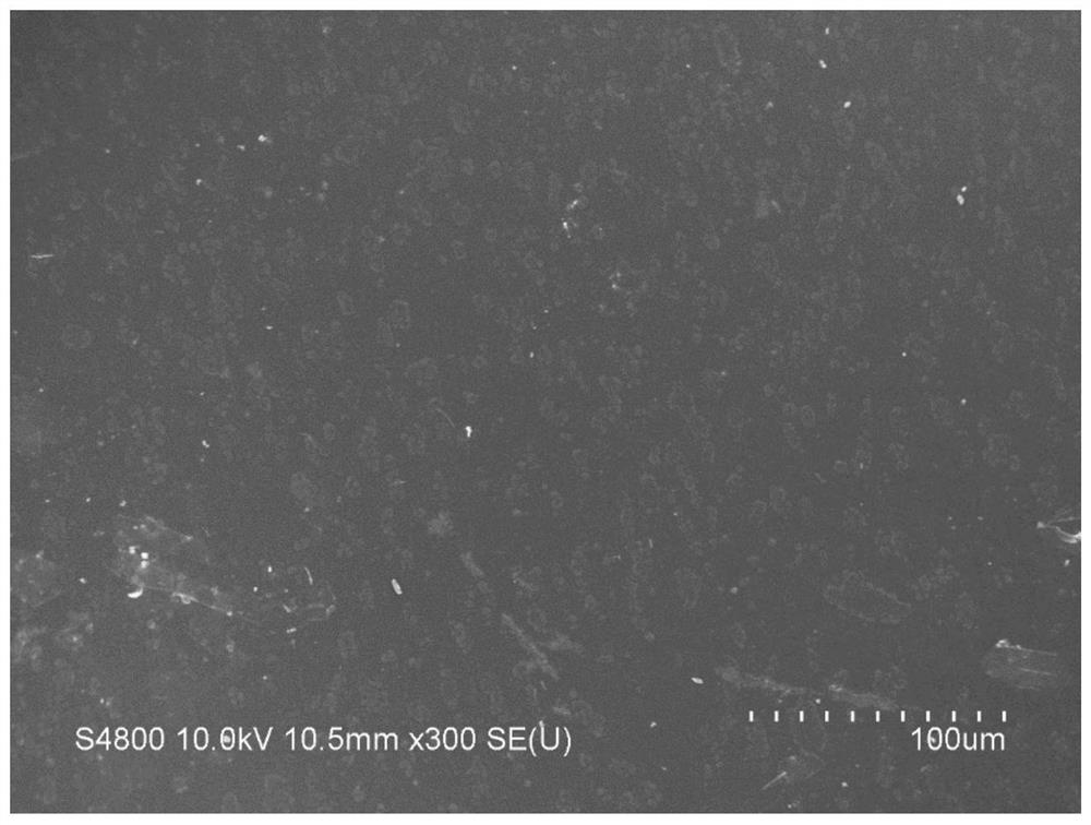 Negative pole piece of zinc secondary battery as well as preparation method and application of negative pole piece