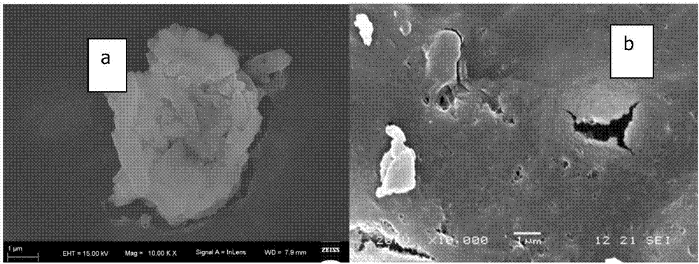 Chitosan composite material modified by tetraaza macrocyclic manganese complex with high SOD (Super Oxide Dismutase) enzyme activity and preparation method thereof