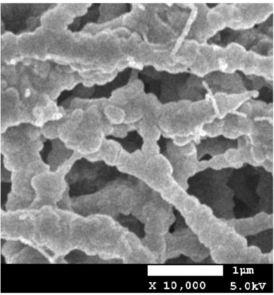 Preparation method of super-hydrophobic polytetrafluoroethylene film