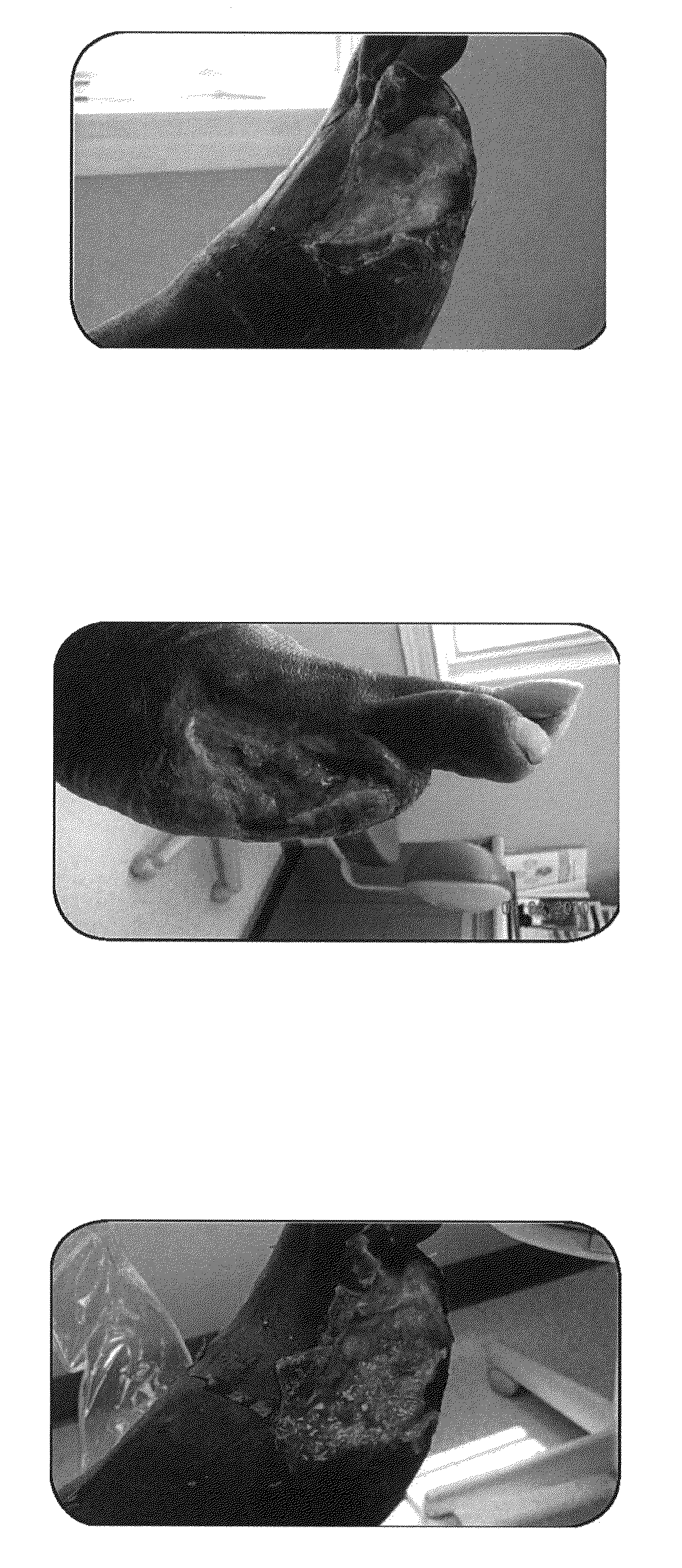 Methods of manufacture of immunocompatible amniotic membrane products