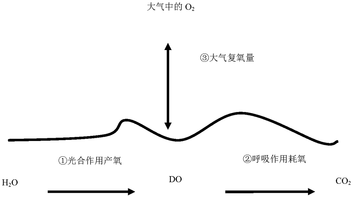 Estuarine ecology water-demand calculation method of considering net ecosystem production of estuarine ecosystem