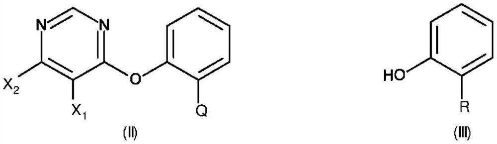 Process for the preparation of fungicidally active strobilurin compounds and intermediates thereof