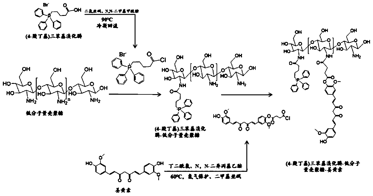 Two-stage targeted polymeric pro-drug for treating acute kidney injury and preparation method