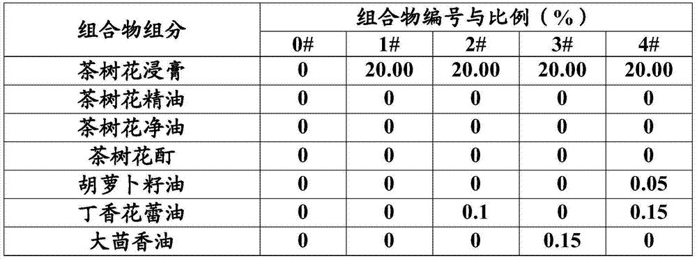 Camellia extract composition with spicy fragrance and application of same to cigarettes