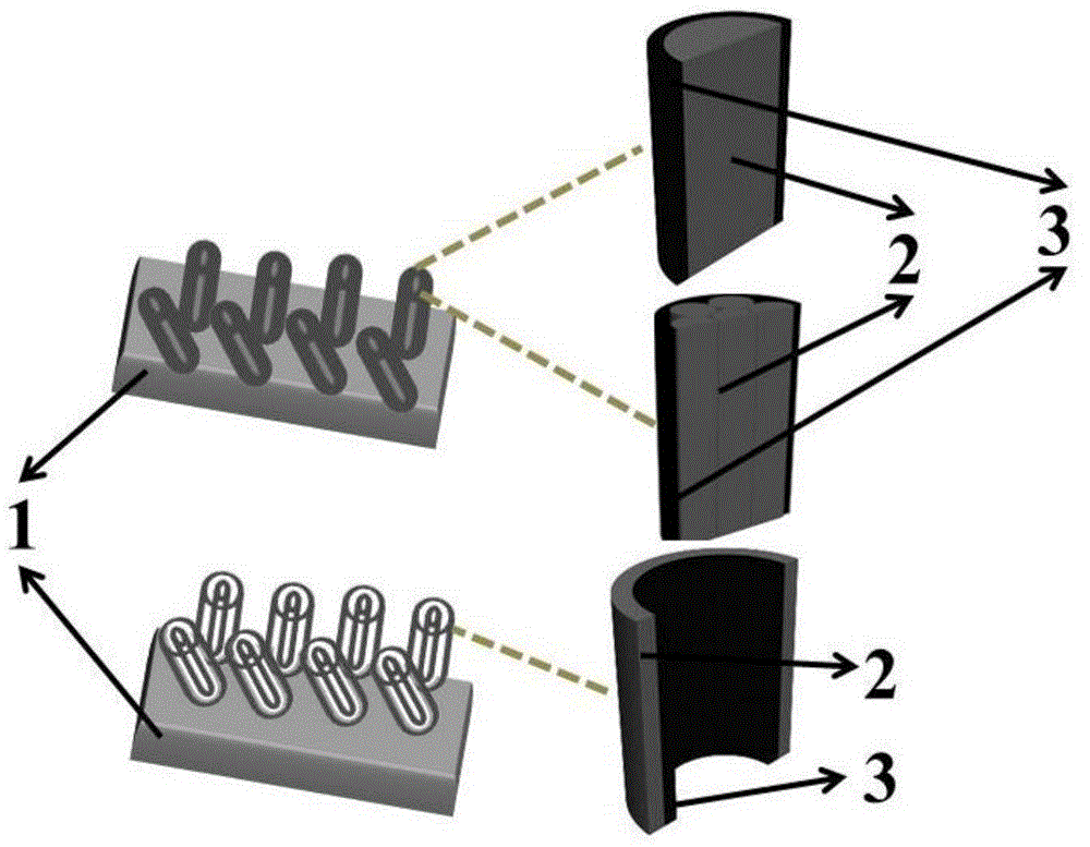 Carbon-coating titanium based nano array material and preparation method and application thereof