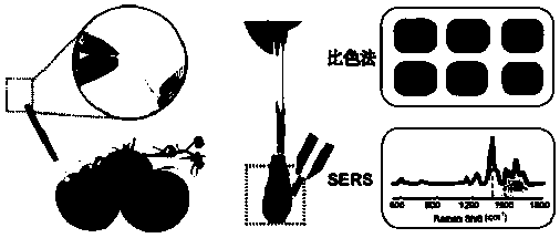 Portable disposable surface-enhanced Raman/colorimetric dual sensor as well as preparation method, detection method and application thereof