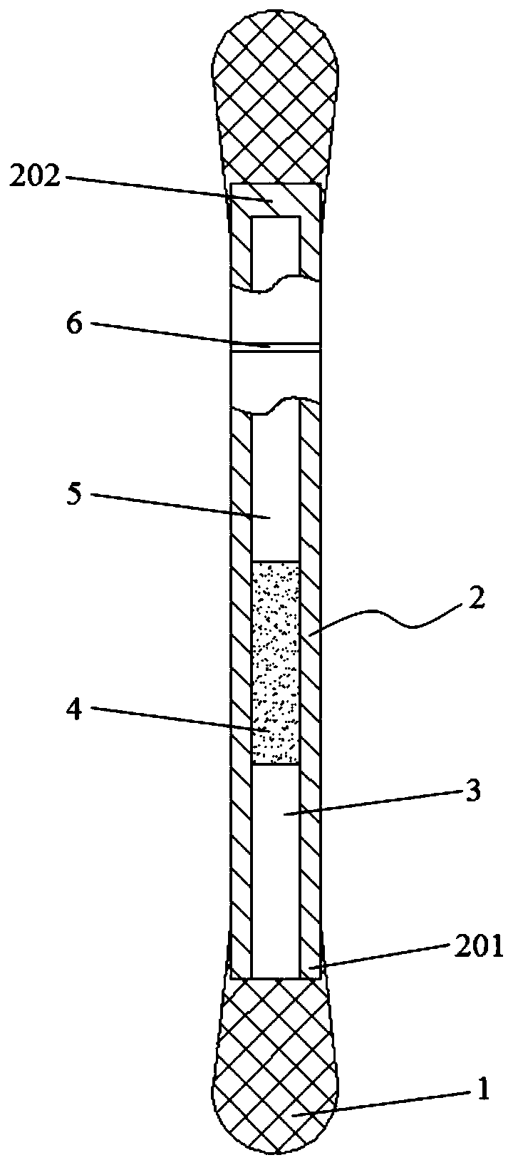 Portable disposable surface-enhanced Raman/colorimetric dual sensor as well as preparation method, detection method and application thereof