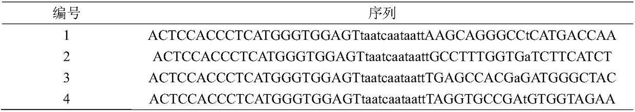 Efficient DNA editing method