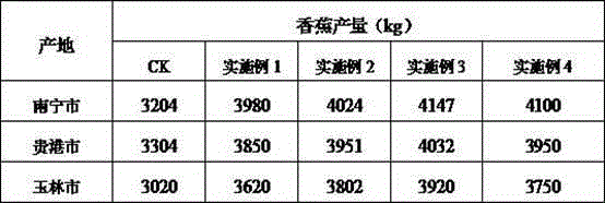 Multi-functional biological organic bacterial fertilizer and production method therefor