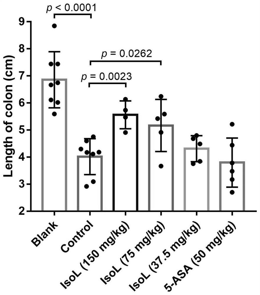 Application of isoliensinine in preparation of medicine for preventing or treating colitis