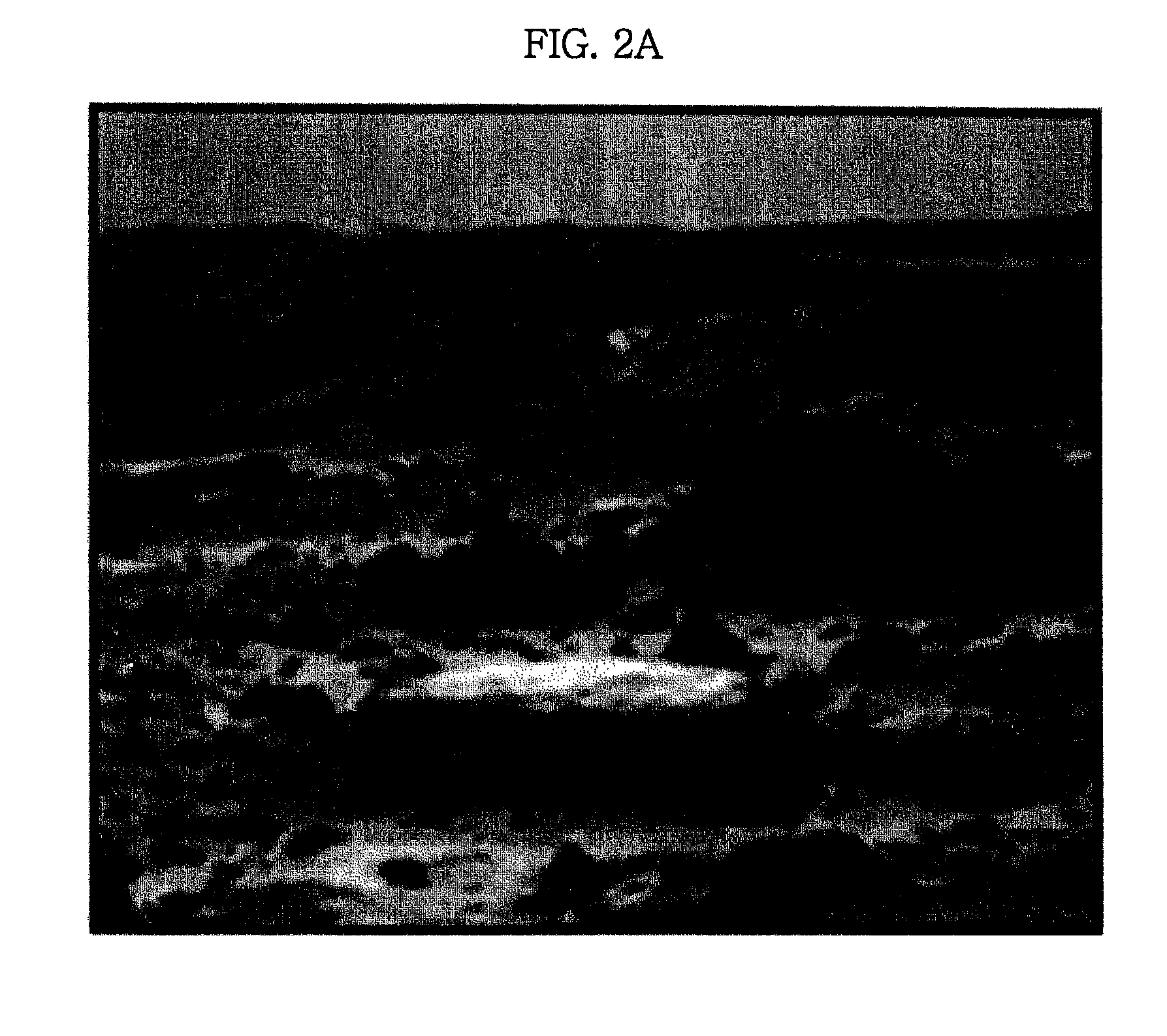 Method and apparatus extracting feature points and image based localization method using extracted feature points