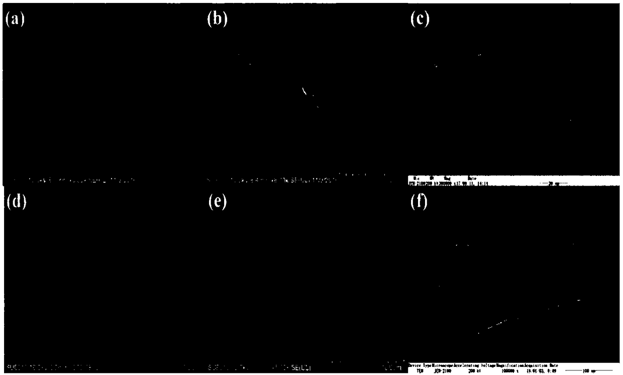 3D chrysanthemum-like Z type Bi2S3@CoO heterojunction composite catalyst as well as preparation method and application thereof