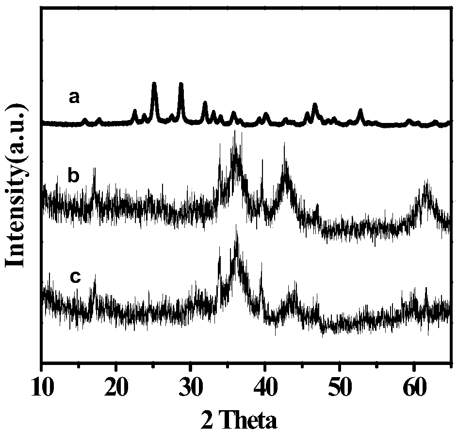 3D chrysanthemum-like Z type Bi2S3@CoO heterojunction composite catalyst as well as preparation method and application thereof