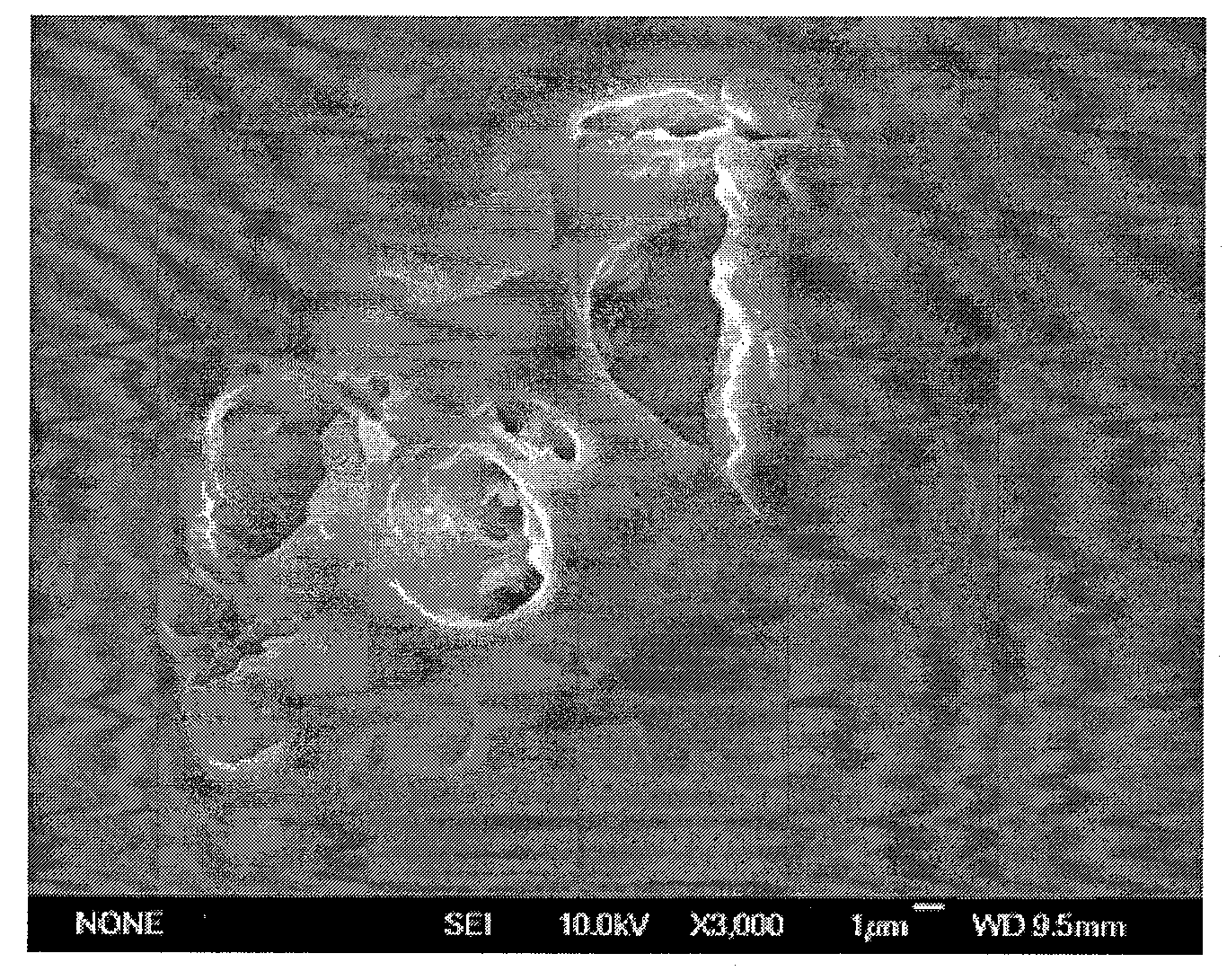 Absorbent polymer extinguishing agent preparation method