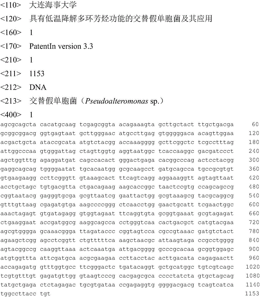 Pseudoalteromonas with low-temperature polyaromatic hydrocarbon degradation function and application of pseudoalteromonas