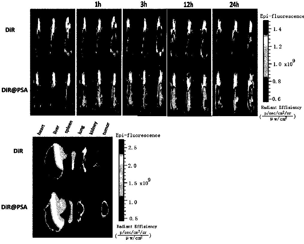 Nano drug-loading system based on poly-salicylic acid, and preparation method and application thereof