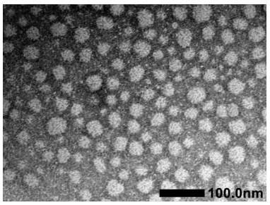 Nano drug-loading system based on poly-salicylic acid, and preparation method and application thereof