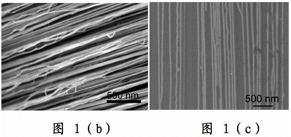 Horizontally oriented carbon nanotube array and preparation method thereof