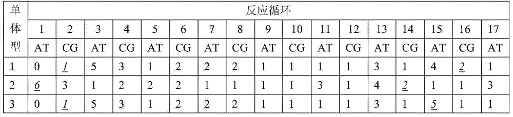 Method for analyzing haplotype of PCR product employing non-synchronous synthesis sequencing of two nucleotides