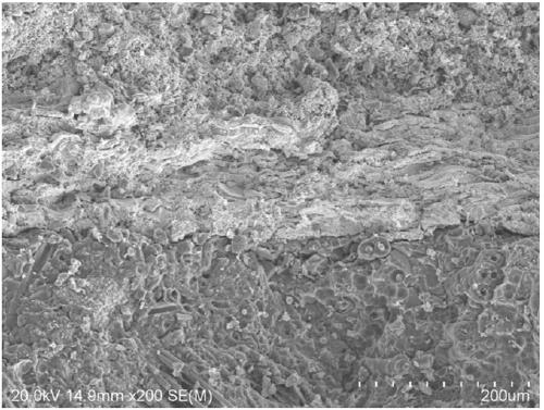 A kind of anti-oxidation coating and preparation method thereof