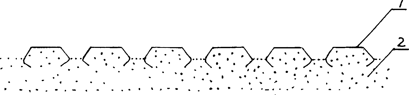 Film coating method for preventing and controlling desertification