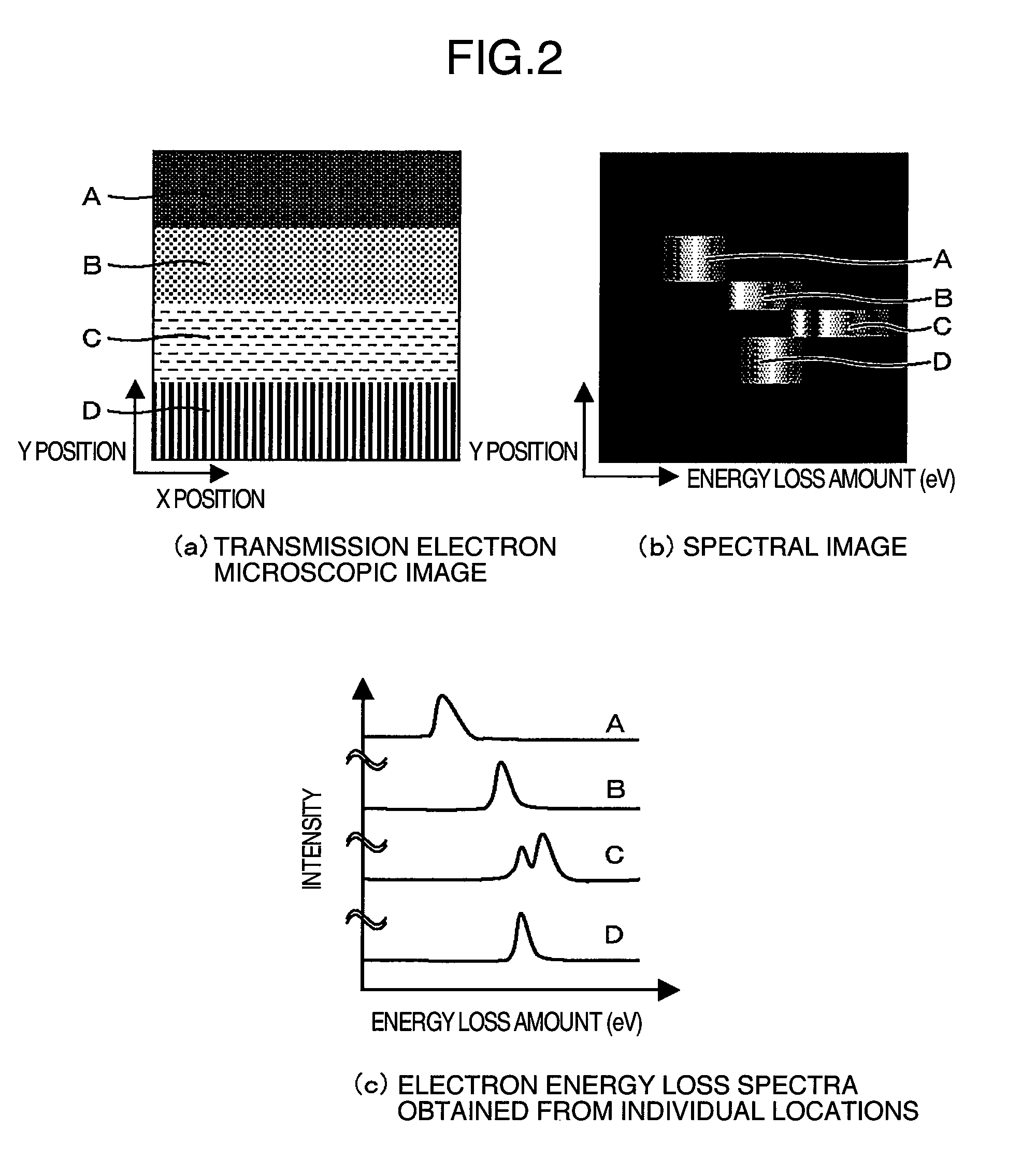 Transmission electron microscope apparatus comprising electron spectroscope, sample holder, sample stage, and method for acquiring spectral image