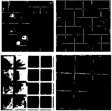 Defect identification method for electrowetting display screen