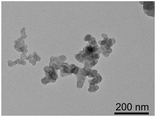 Transition metal single-atom catalyst as well as preparation method and application thereof