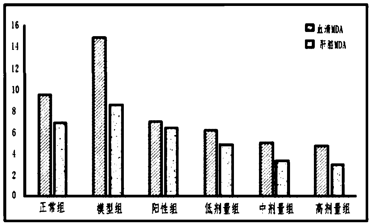 Functional milk tablet and preparation method thereof