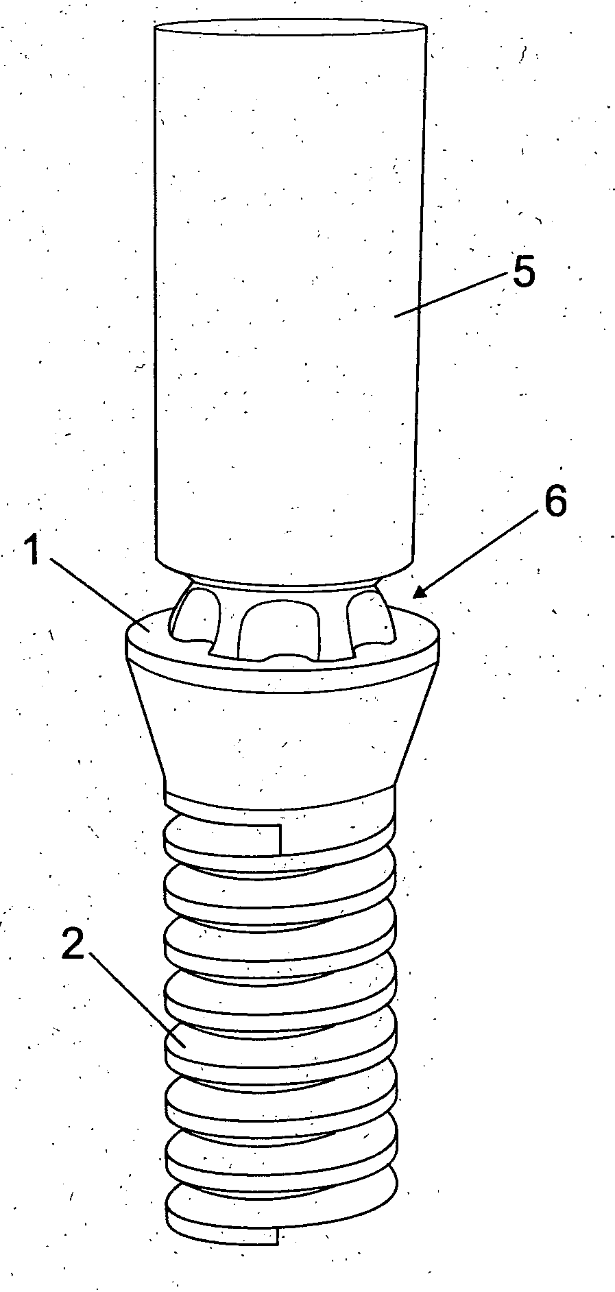 Coupling structure between screw head and tightening tool