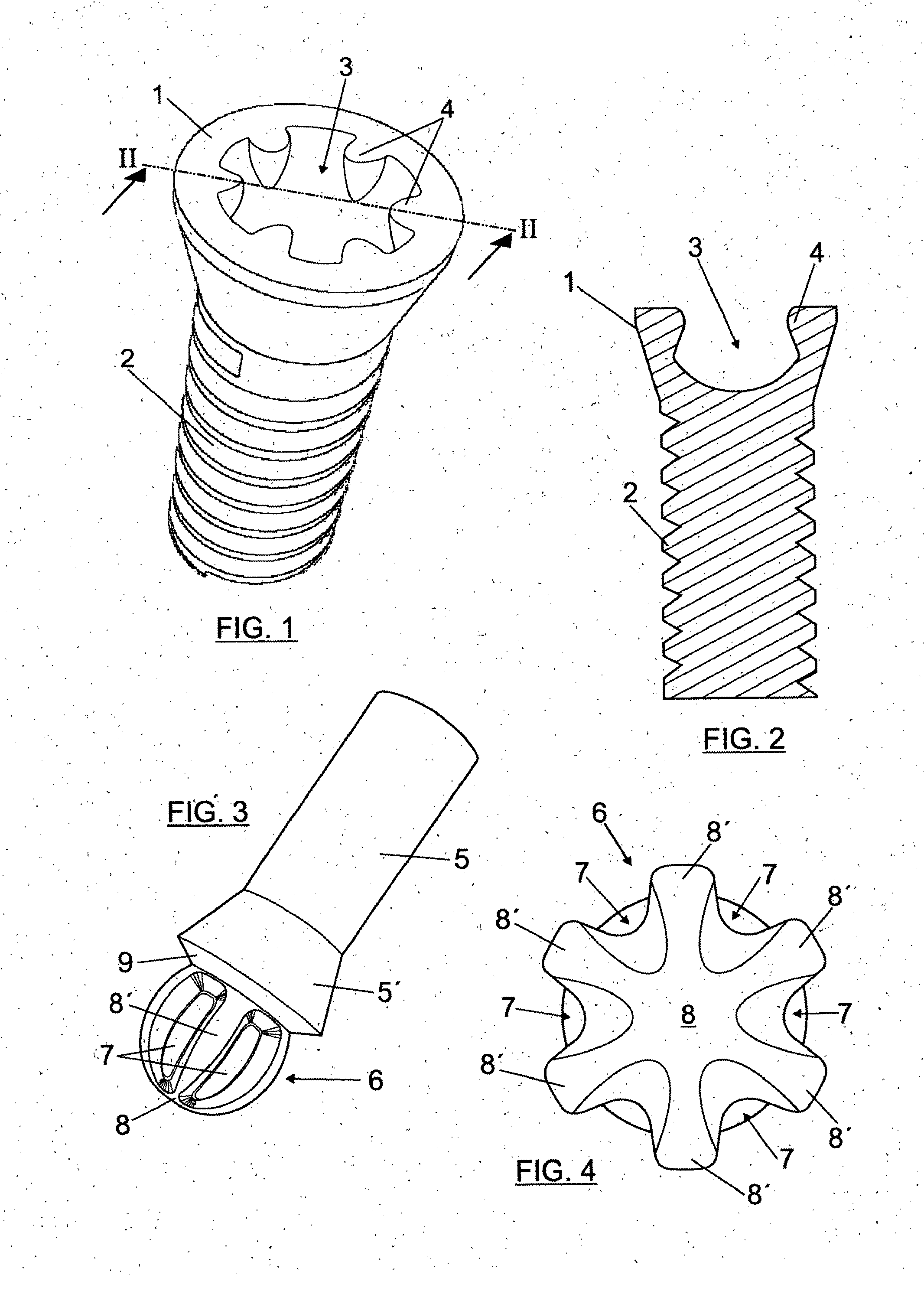 Coupling structure between screw head and tightening tool