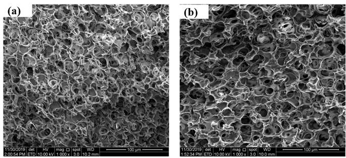 PCL/PLA composite foaming oil absorption material and preparation method thereof