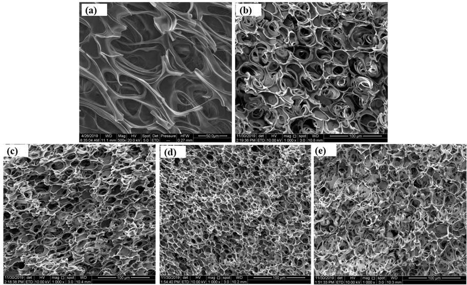 PCL/PLA composite foaming oil absorption material and preparation method thereof